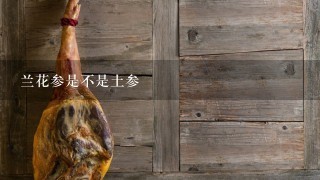 兰花参是不是土参
