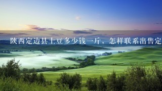 陕西定边县土豆多少钱1斤,怎样联系出售定边洋芋种子的人 陕西定边县土豆多少钱1斤,怎样联系出售定边洋芋种子的人