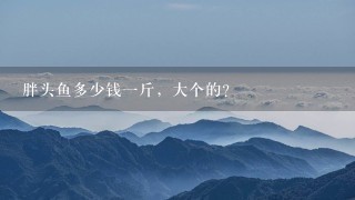 胖头鱼多少钱1斤，大个的？