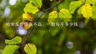 哈密瓜价值高不高,1般每斤多少钱 哈密瓜价值高不高,1般每斤多少钱