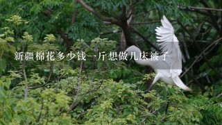 新疆棉花多少钱1斤想做几床被子 新疆棉花多少钱1斤想做几床被子