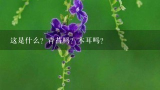 这是什么?青苔吗?木耳吗? 这是什么?青苔吗?木耳吗?