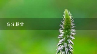 高分悬赏 高分悬赏