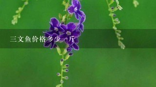 3文鱼价格多少1斤 3文鱼价格多少1斤