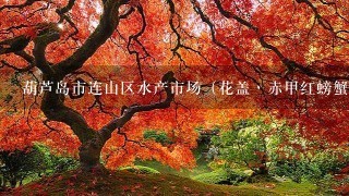 葫芦岛市连山区水产市场(花盖丶赤甲红螃蟹)多钱1 葫芦岛市连山区水产市场(花盖丶赤甲红螃蟹)多钱1