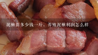 泥鳅苗多少钱1斤,养殖泥鳅利润怎么样 泥鳅苗多少钱1斤,养殖泥鳅利润怎么样