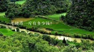 1毛硬币1斤有多少钱? 1毛硬币1斤有多少钱?