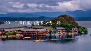 20 日照铁棍山药多少钱1斤 20 日照铁棍山药多少钱1斤