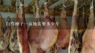 白芍种子1亩地需要多少斤 白芍种子1亩地需要多少斤
