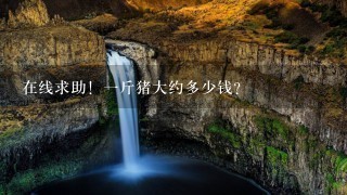 在线求助!1斤猪大约多少钱? 在线求助!1斤猪大约多少钱?