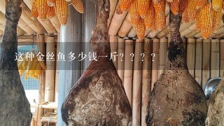 这种金丝鱼多少钱1斤???? 这种金丝鱼多少钱1斤????