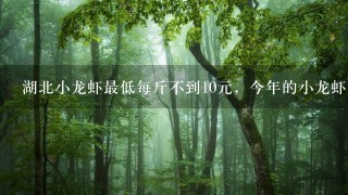 湖北小龙虾最低每斤不到10元,今年的小龙虾为何如此 湖北小龙虾最低每斤不到10元,今年的小龙虾为何如此
