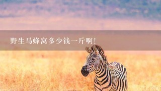 野生马蜂窝多少钱1斤啊! 野生马蜂窝多少钱1斤啊!