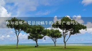 你知道哪些是法国蜗牛的主要产地吗?