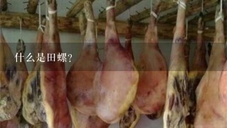 什么是田螺?