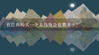 在巴西购买一个大乌龟会花费多少?