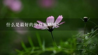 什么是最好的价格策略吗?