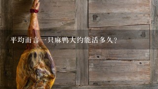 平均而言一只麻鸭大约能活多久?