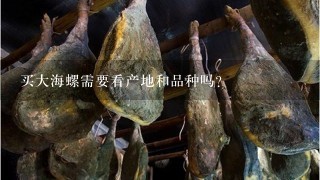 买大海螺需要看产地和品种吗?