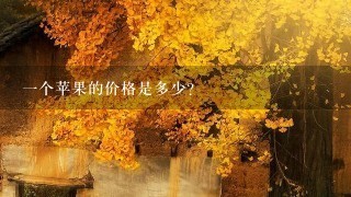 一个苹果的价格是多少?