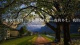 春草年年绿，王孙归不归——我的乡土，我的宣威,宣威市的历史