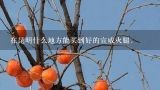 在昆明什么地方能买到好的宣威火腿.,昆明到哪里买宣威火腿好