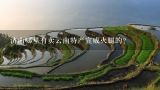 济南哪里有卖云南特产宣威火腿的？宁波哪家超市或者专卖店有正宗的云南特产宣威火腿卖。