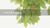 云南宣威火腿价格,云南宣威的火腿很好吃吗?
