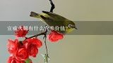 宣威火腿有什么营养价值？火腿为什么会被宣威做为特产？