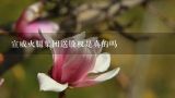 宣威火腿集团送股权是真的吗,云南宣威火腿集团有限责任公司怎么样？