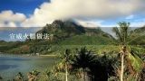 宣威火腿做法？宣威火腿的做法？