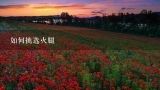 如何挑选火腿,宣威哪个地方的火腿比较正宗？