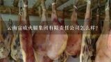 云南宣威火腿集团有限责任公司怎么样？宣威市宣特火腿有限公司介绍？