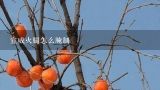 宣威火腿怎么腌制,云南火腿哪里最出名