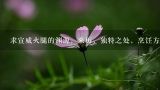 求宣威火腿的渊源，来历，独特之处，烹饪方法，有图,大满罐火腿怎么吃