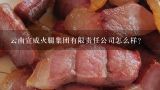 云南宣威火腿集团有限责任公司怎么样？宣威市顺达火腿食品有限公司怎么样？