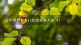 昆明哪里有专门批发宣威火腿的？昆明哪里有专门批发宣威火腿的？