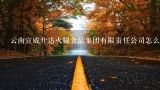 云南宣威升达火腿食品集团有限责任公司怎么样？