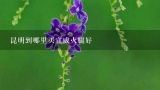 昆明到哪里买宣威火腿好,在哪里可以买到正宗的宣威火腿？