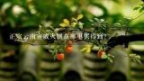 正宗云南宣威火腿在哪里买得到？在昆明什么地方能买到好的宣威火腿.