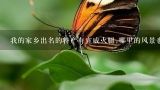 我的家乡出名的特产有宣威火腿,哪里的风景也很美用,众所周知,宣威火腿在我的家乡是出名英语翻译的