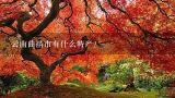 云南曲靖市有什么特产？云南小吃^_^