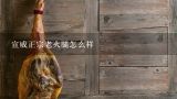 宣威正宗老火腿怎么样