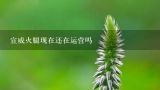 宣威火腿现在还在运营吗,宣威火腿的来历是什么？