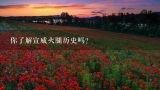 你了解宣威火腿历史吗？特产火腿推荐 - 优质火腿全面介绍