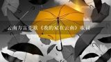 云南方言歪歌《我的家在云南》歌词,云南方言歪歌《我的家在云南》歌词