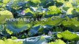 介绍宣威火腿的作文500字,宣威的特产作文500字