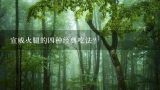 宣威火腿的四种经典吃法？宣威火腿家常吃法