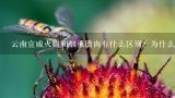 云南宣威火腿和烟熏腊肉有什么区别？为什么火腿比腊