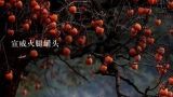 宣威火腿罐头,宣威火腿的来历？